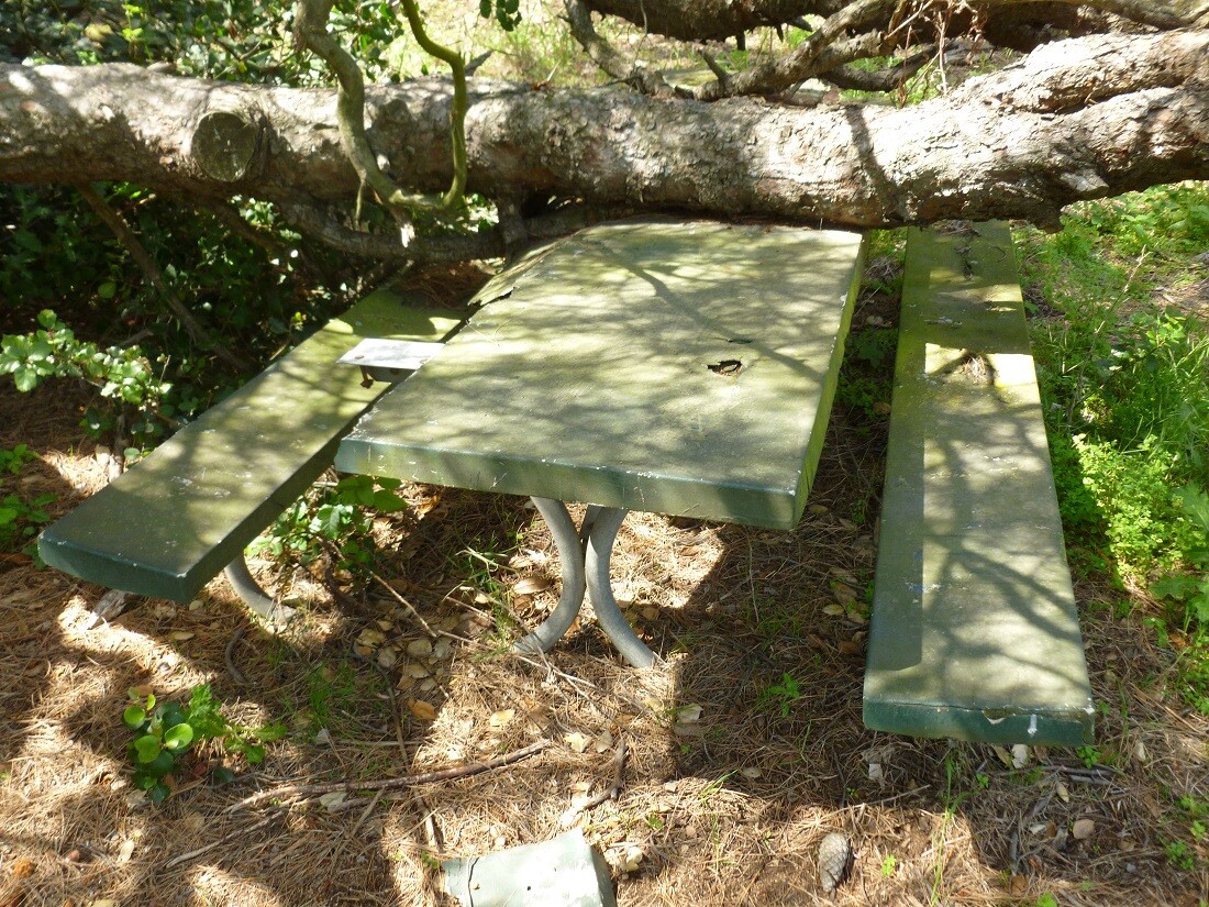 Haunted Picnic Table, Griffith Park