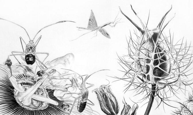 Nick Taggart's "Love in MistDevil in a Bush" | Courtesy of the artist
