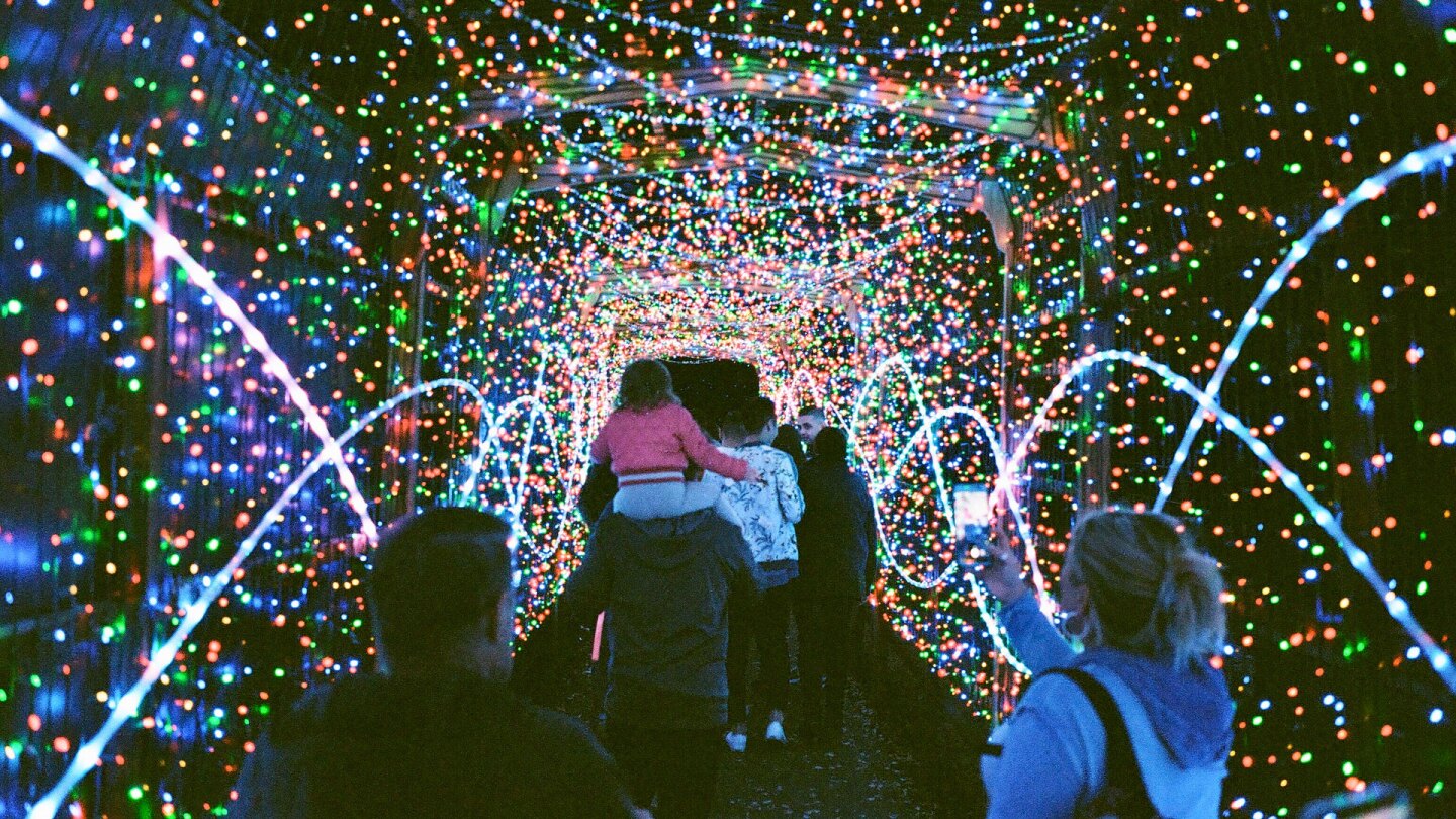 LA Zoo Lights