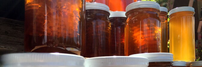 Victor Jaramillo Soriano's Honey Products | Oliver Wang