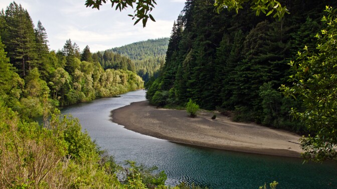 The Eel River flows through a redwood forest | Photo: Daniel, some rights reserved