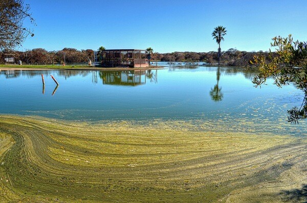 Flooding at McGrath State Beach Campground in June 2013.