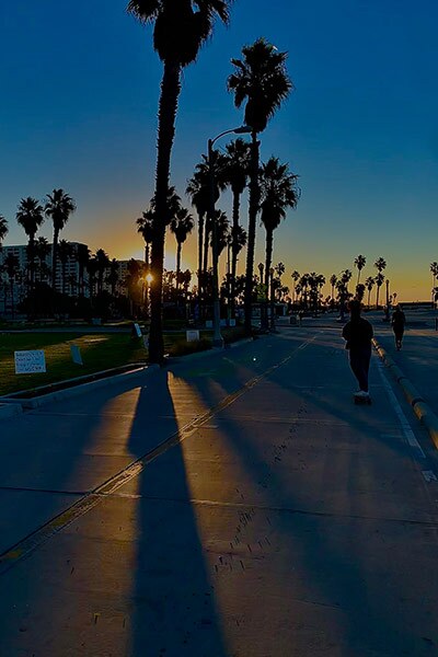 A skateboarder cruises on a beach bike path lined by palm trees during sunset.