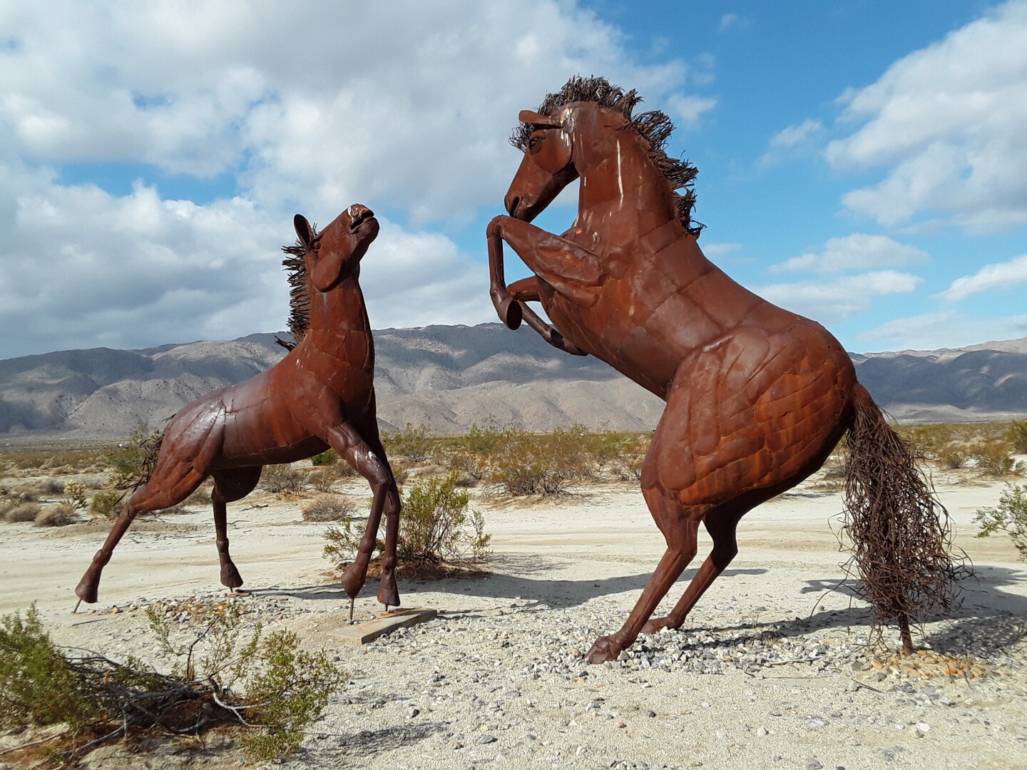Two rust-colored metal horse sculptures are posed in a stand-off in the middle of a desert landscape.