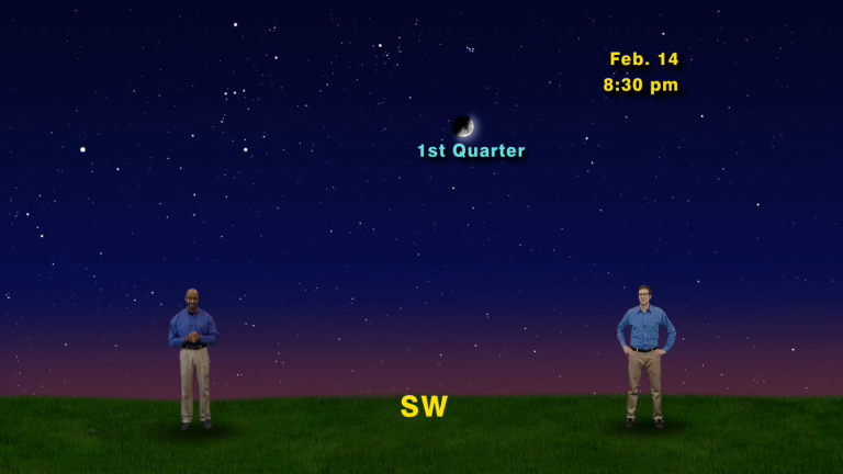 “The Long-Awaited Moon-Joke Episode” February 8-14th 1 Min