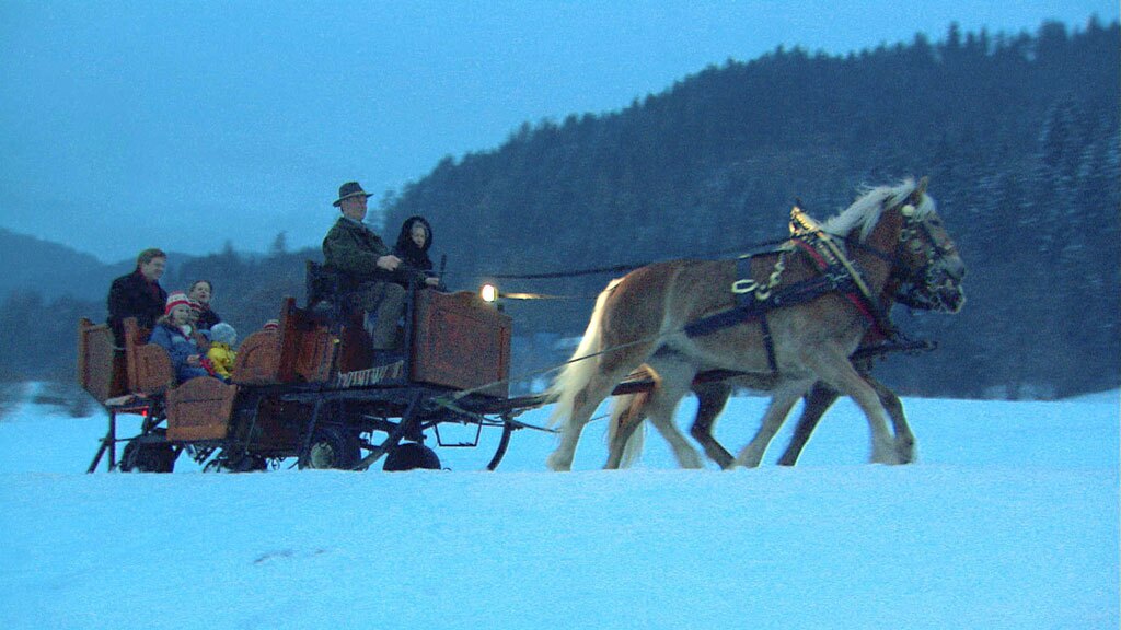 Rick Steves European Christmas