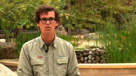 Jeff Chapman - Recreational Opportunities