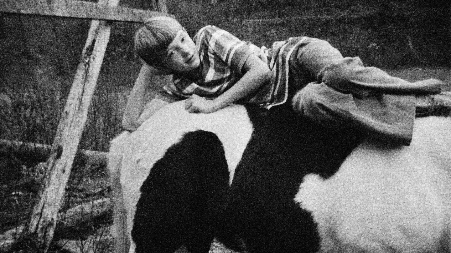 A person poses on top of a cow's back. | "POV: Portraits and Dreams"