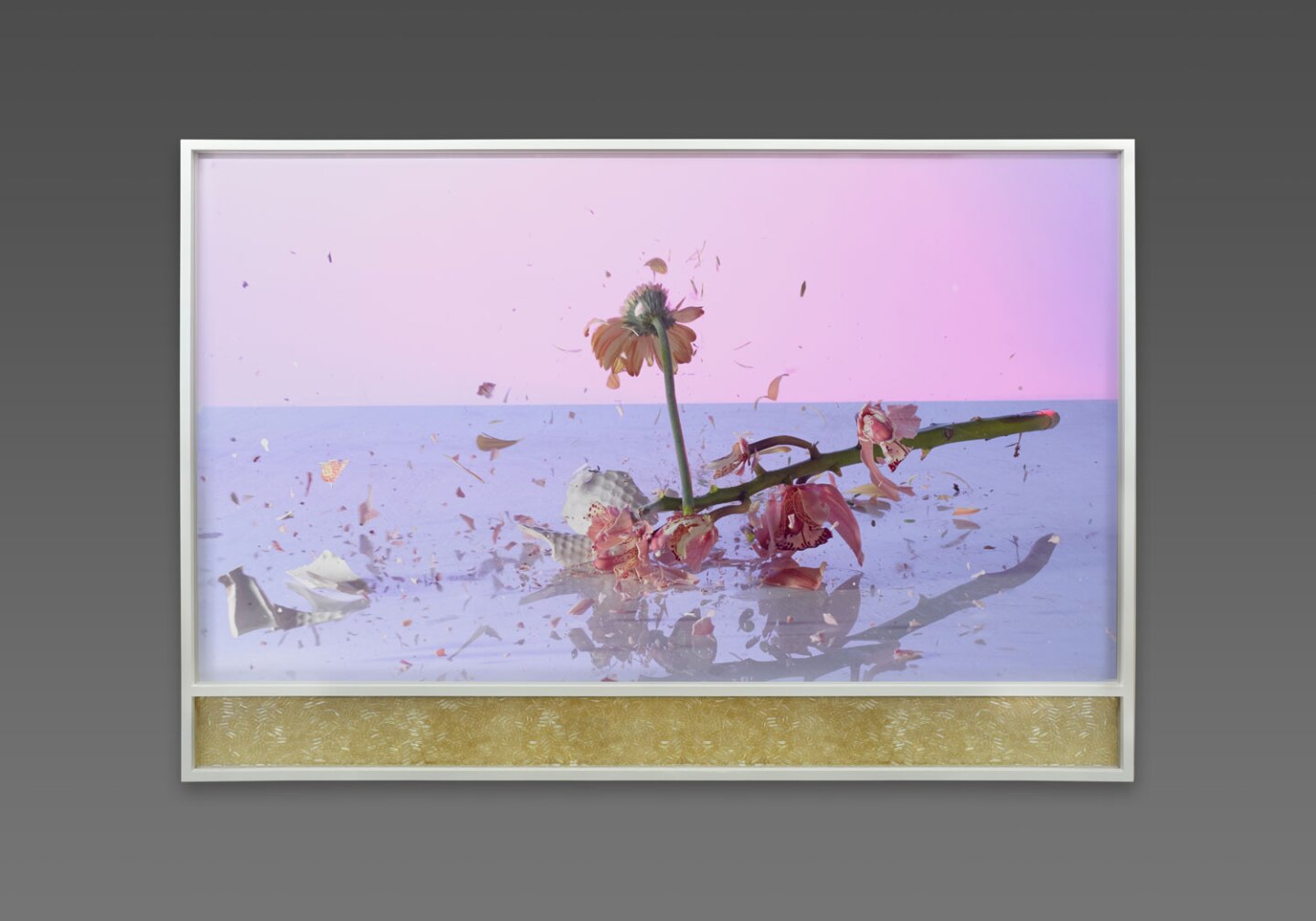 Desire Obtain Cherish, "Flora & Fauna"