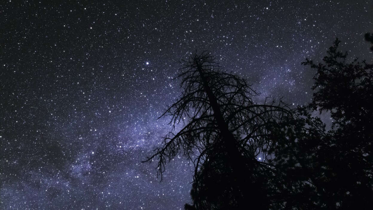 A night sky filled with stars.