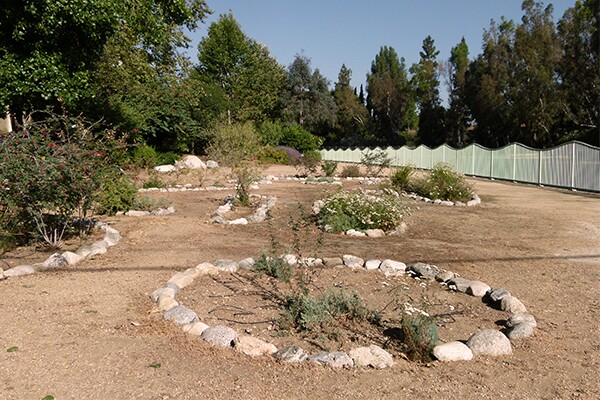 Studio City Greenway