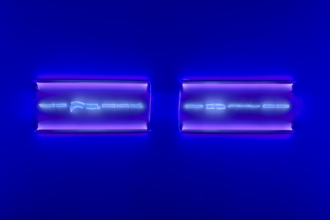 A photo of two neon-glowing art pieces hang on the wall. Fragmented paths created by bark beetles are in the middle, glowing in an electric blue while the frame is lit in a purple neon light.