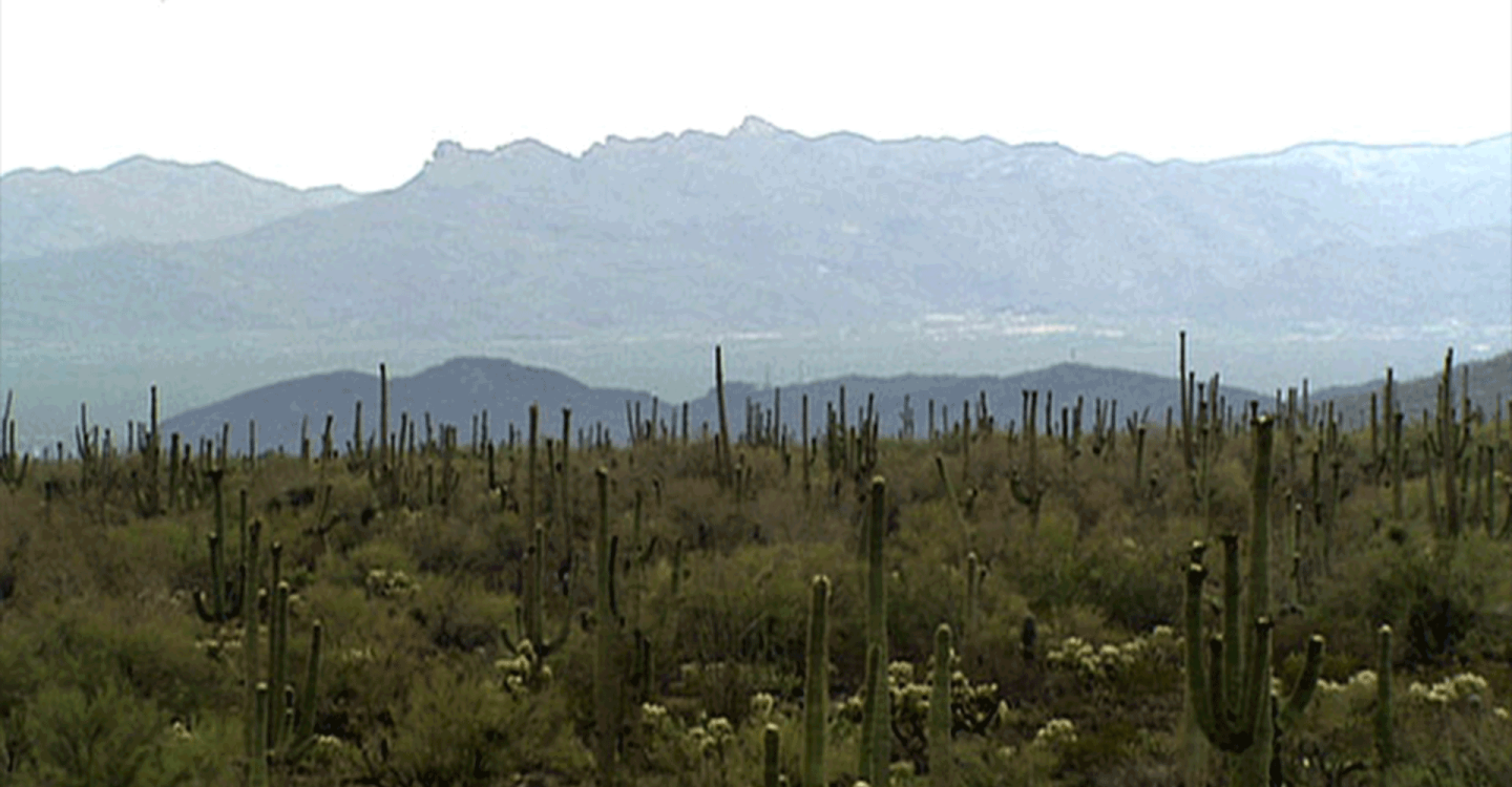 Southwestern Gems: Our Desert National Parks
