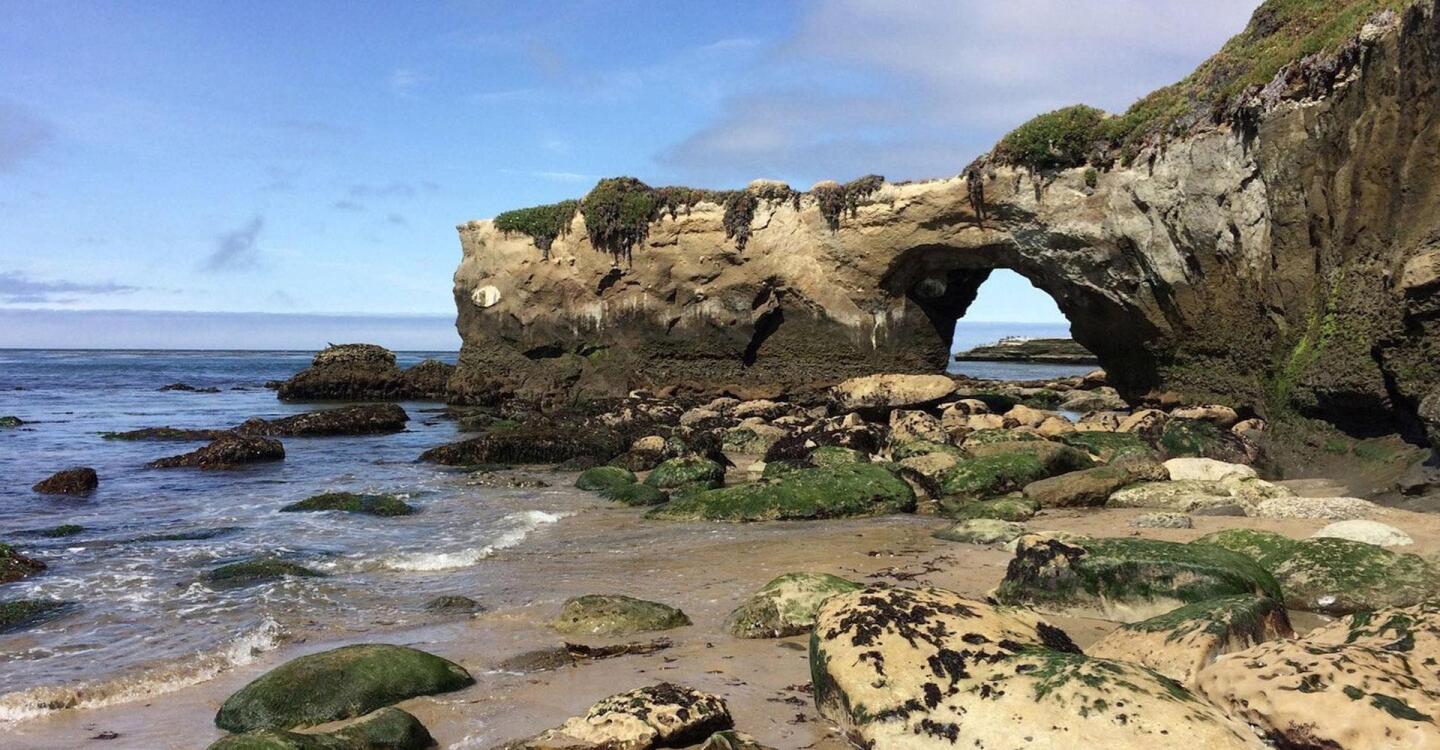 California Coastal Trail