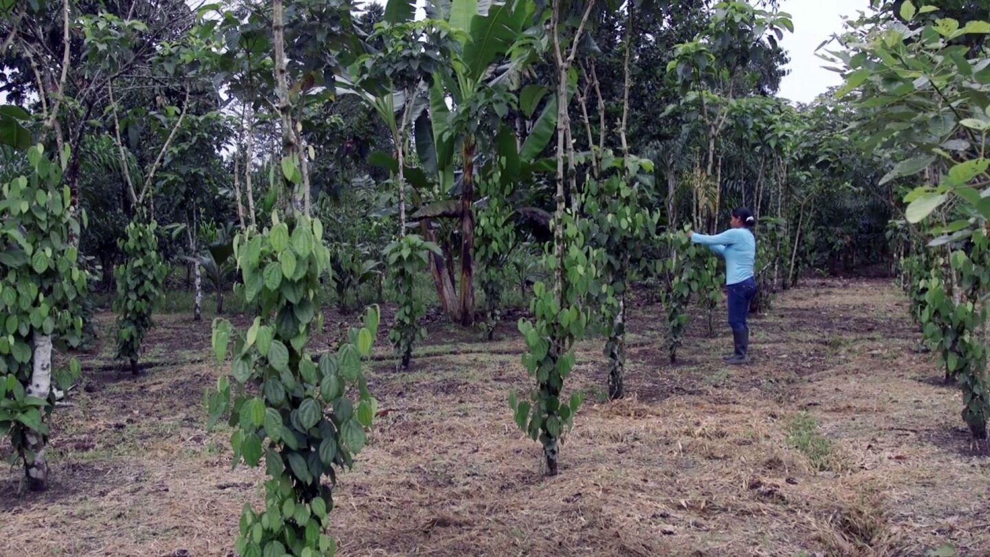 Farmer Andrea Gomez