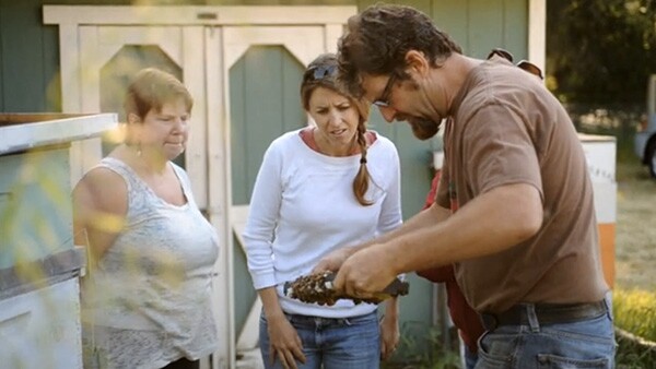 <a href="https://www.barnraiser.us/projects/building-a-bee-barn-a-sustainable-honey-bee-exchange">Napa Valley Bee Company</a> via Barnraiser