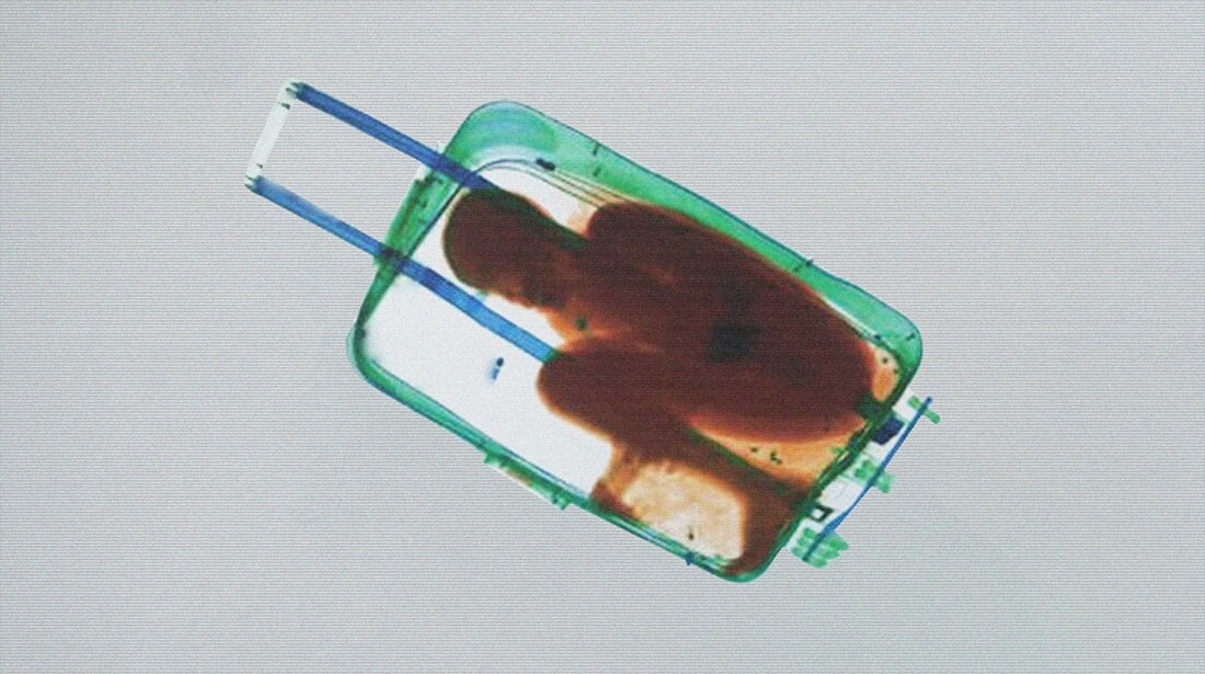 Julio César Morales, Boy in Suitcase 2013, Edition of 3 + 2 AP, HD animation video with sound, 00:03:33, Courtesy of the artist and Gallery Wendi Norris, San Francisco, © Julio César Morales