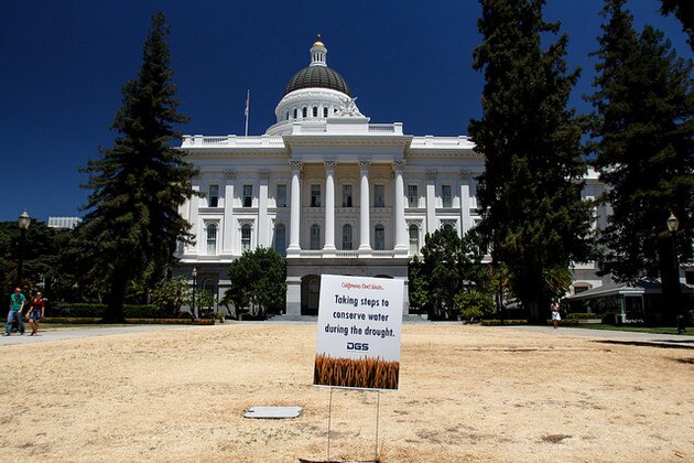 dead-lawn-sacramento-12-29-14-thumb-630x420-85845