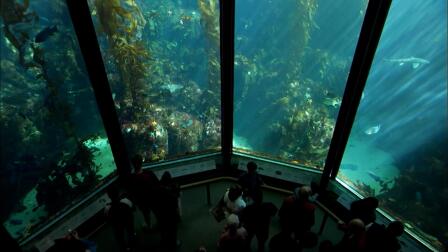 OCEANS IN GLASS: BTS of the Monterey Bay Aquarium