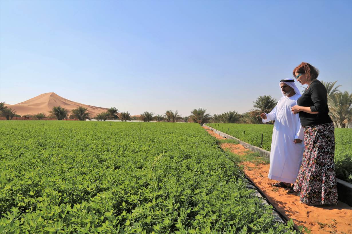 An ICBA scientist helps a farm-owner in the Al Wagan area near Al-Ain, UAE, December 6, 2018. | HANDOUT/International Center for Biosaline Agriculture (ICBA)