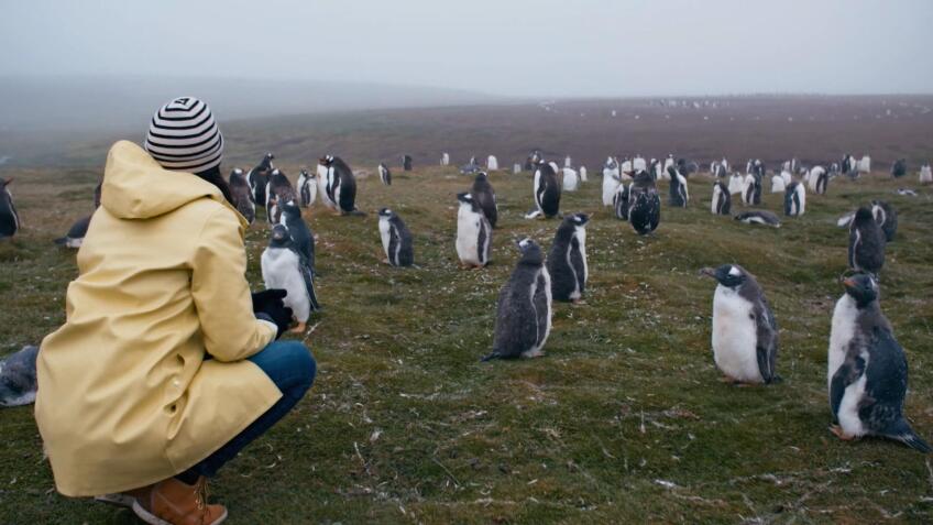 Falkland Islands