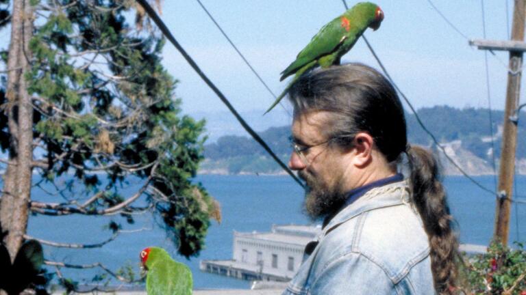 The Wild Parrots of Telegraph Hill - Trailer