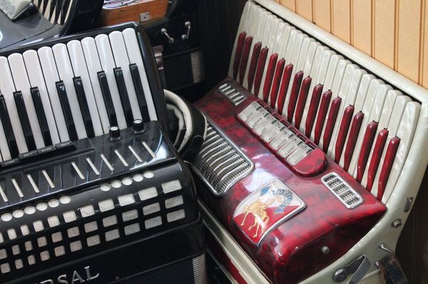 accordion20-thumb-600x399-58281