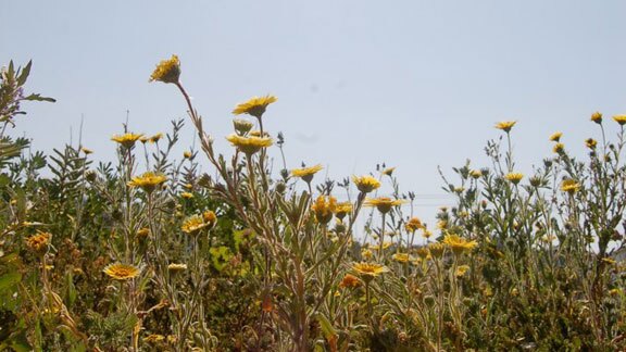 thenarrows_elriodelosangelesstatepark