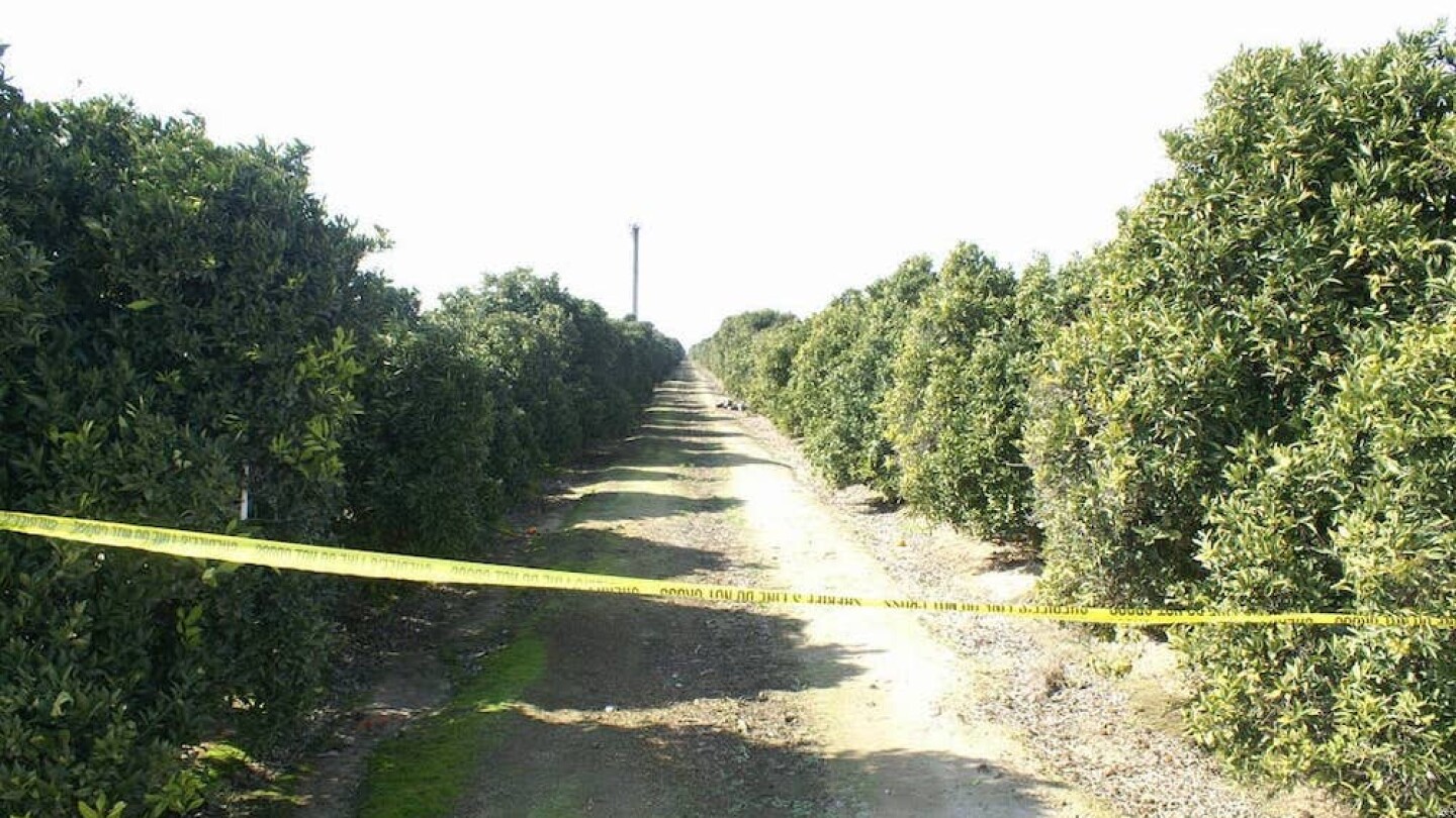 A 2011 crime scene in Tulare County, where one of Jose Martinez's victims was found. | Courtesy of Marion County Sherff’s Office via FOIA/Buzzfeed