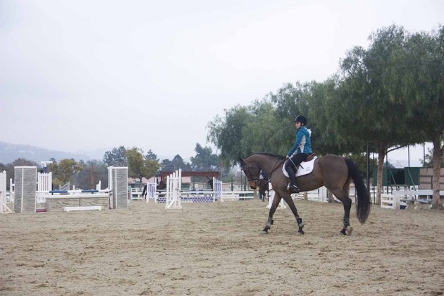 130207 equestrian120.JPG