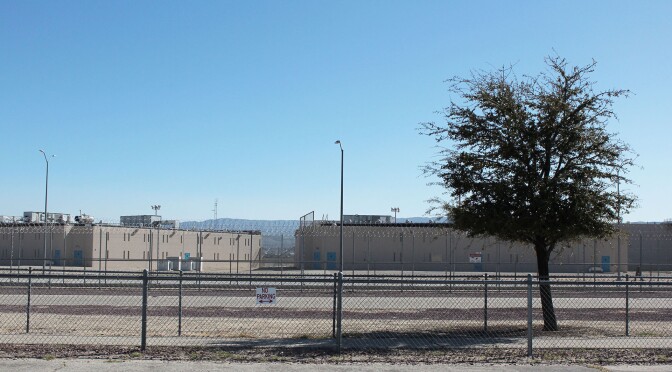 LAC barbed wire landscape primary