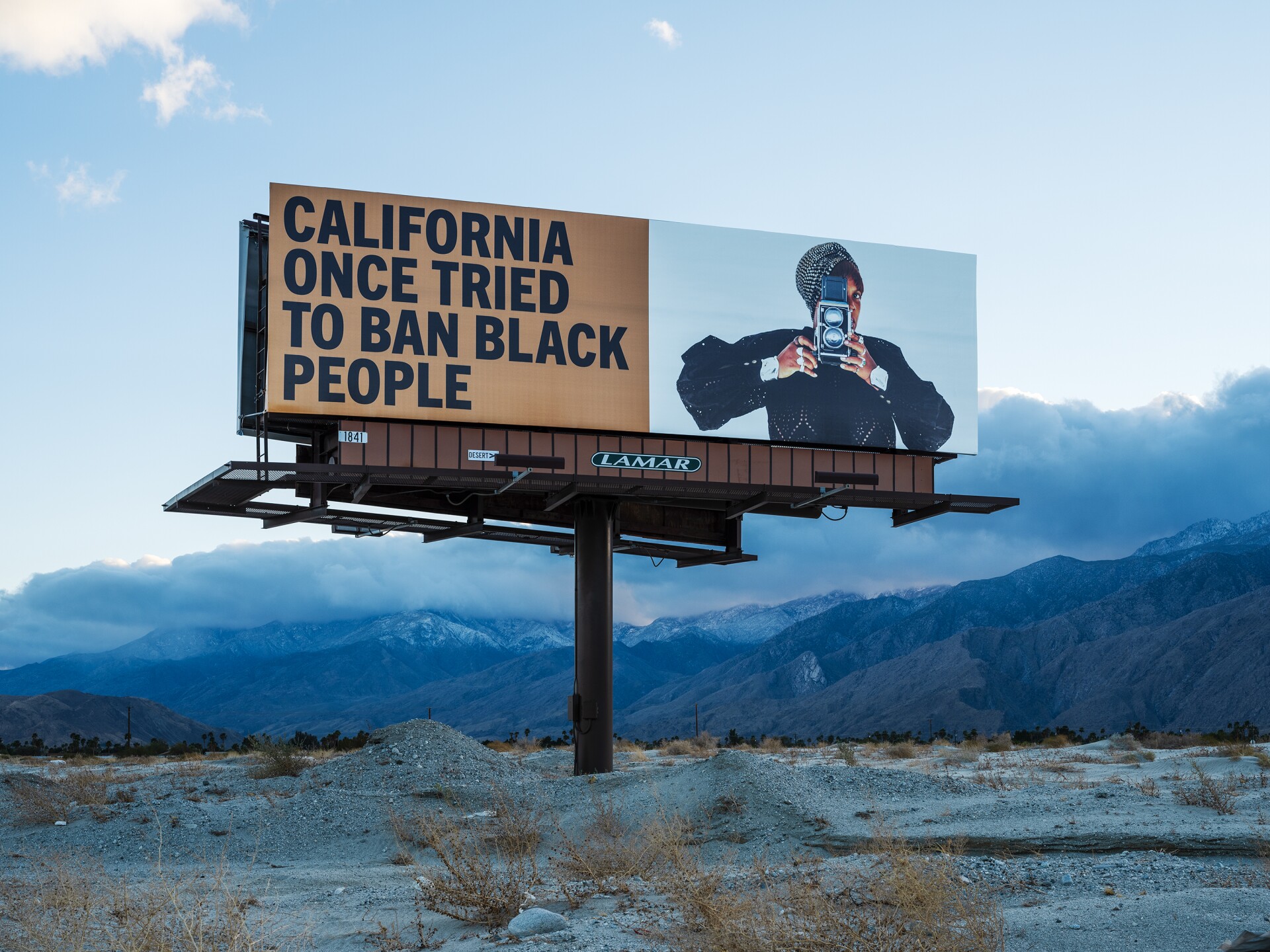 One of Simmons' billboards reads, "California once tried to ban Black people." To the right of the text is a Black woman holding a vintage camera.