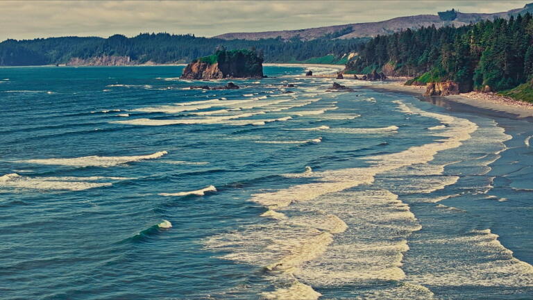 OLYMPIC COASTLINE