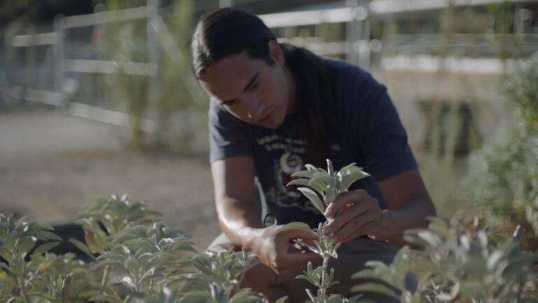 Still of Man and Plant from Tending the Wild