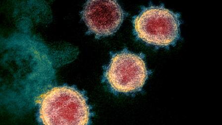 The science behind potential COVID-19 vaccines