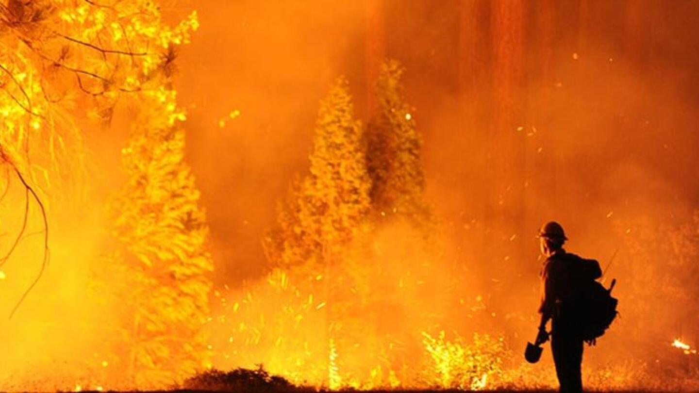 A firefighter stares at an enormous forest fire. | "Wilder Than Wild: Fire, Forests, and the Future"