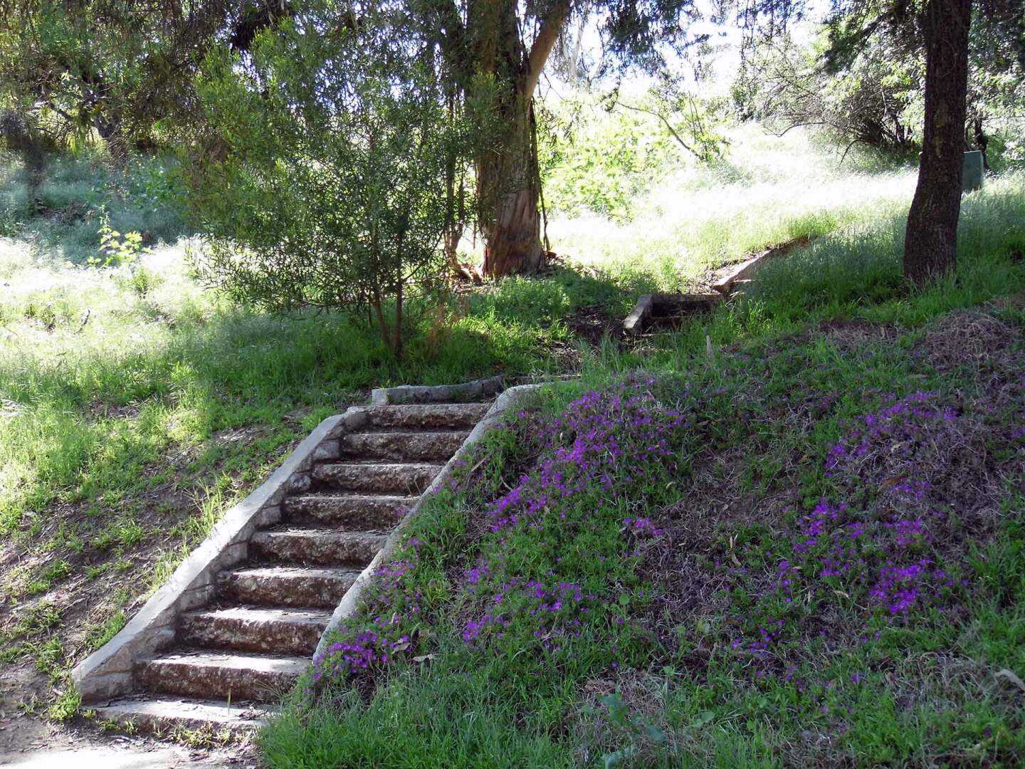A set of stairs surrounded by wildflowers at Montecillo de Leo Politi Park. | Sandi Hemmerlein