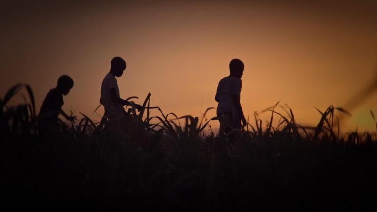 Trailer | Stateless