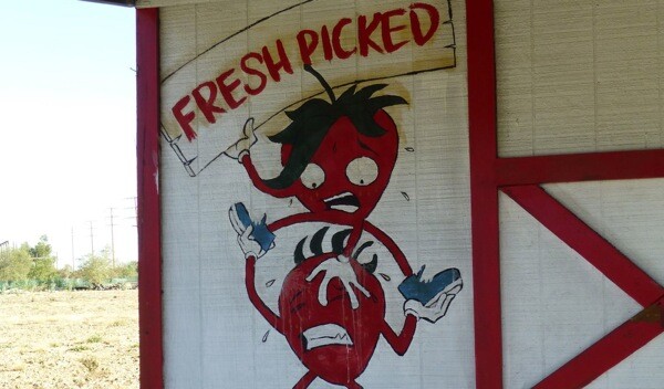 Detail of Vargars Farms' shuttered strawberry stand in Claremont, CA. | Photo: Courtesy Judith Lipsett