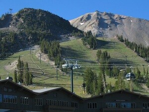 Mammoth in summer