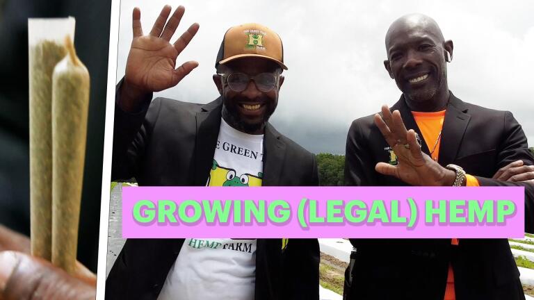 Georgia’s First Black-Owned Hemp Farm