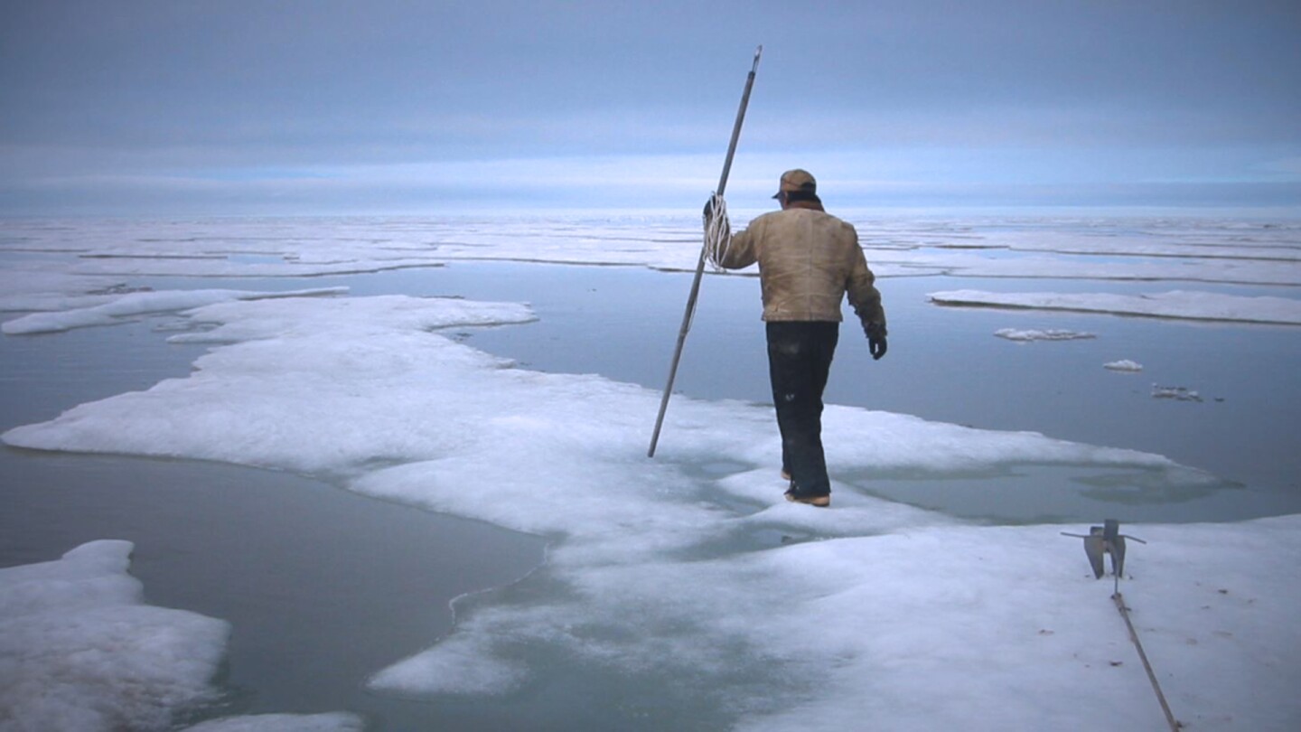 Climate Change: Rising Cost