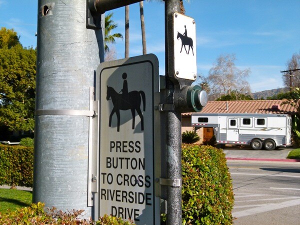 Here the crossing button stands nearly at a head's height.