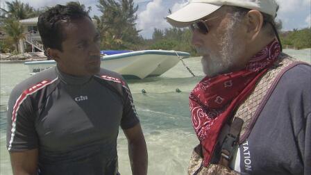 An Interview with Renowned Shark Scientist Doc Gruber