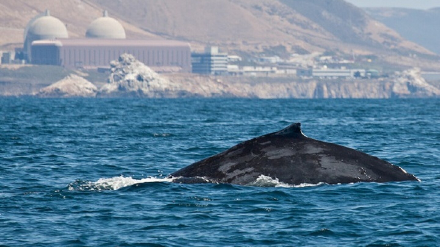 diablo_canyon_nuclear_power_plant_slo