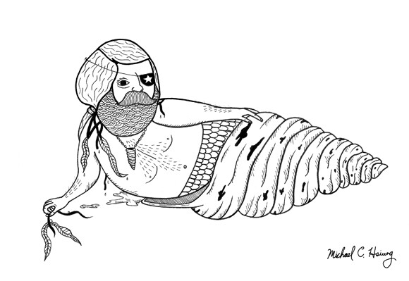 SEXY SEASHELL by Michael C. Hsiung