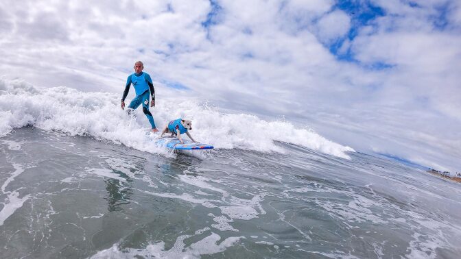 Surf-City-Dog-Contest-2019-238