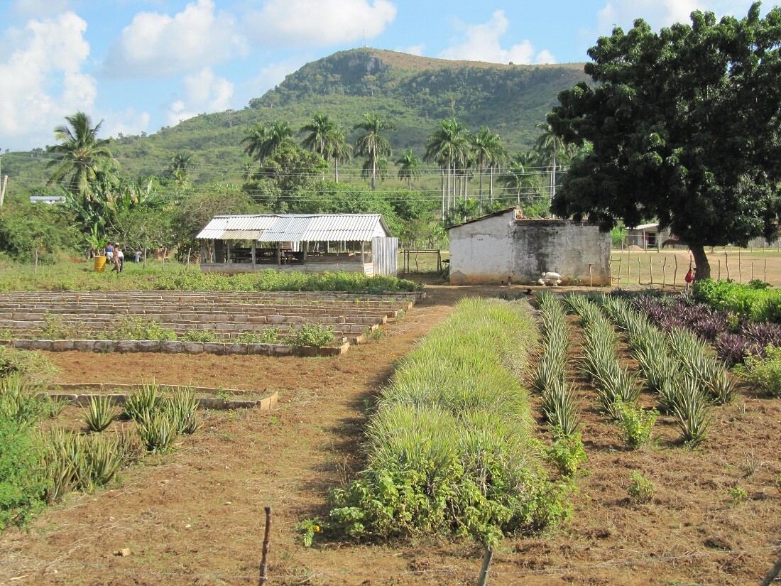 Rural Cuba