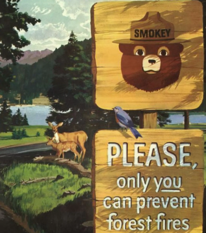Poster of Smokey Bear on a sign that reads "Please, only you can prevent forest fires."