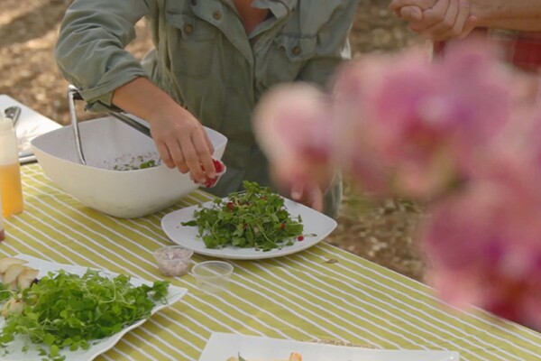 foraging_body1